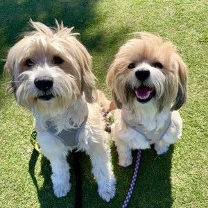 Meet your Posher, Elaine